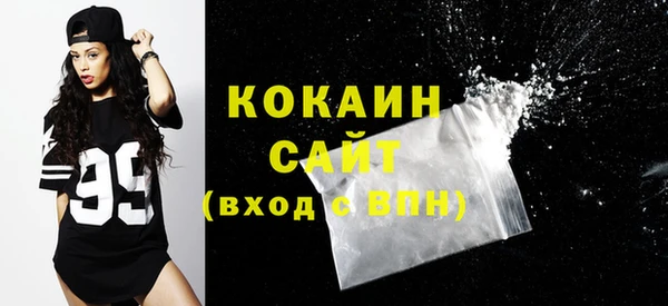 стаф Аркадак