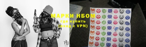 стаф Аркадак