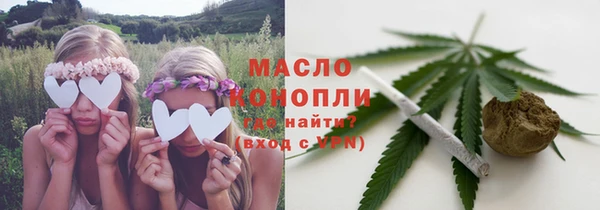 стаф Аркадак