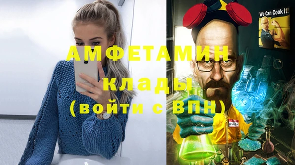 стаф Аркадак