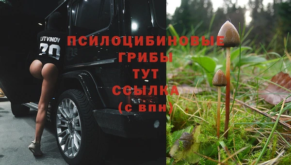 трава Армянск