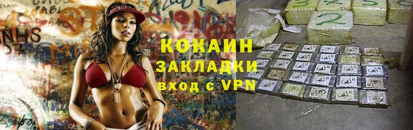 стаф Аркадак