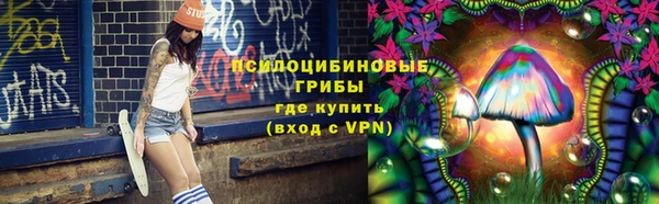 стаф Аркадак