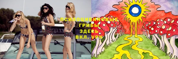 стаф Аркадак