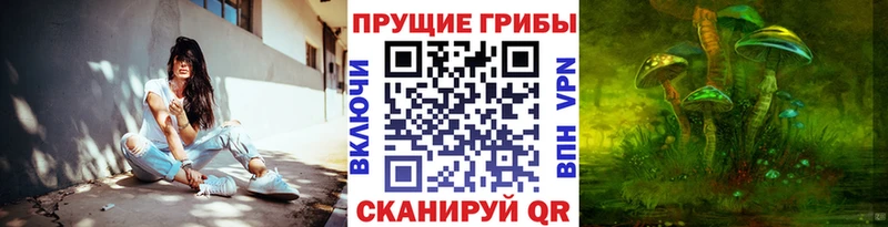 Псилоцибиновые грибы Cubensis  Инта 